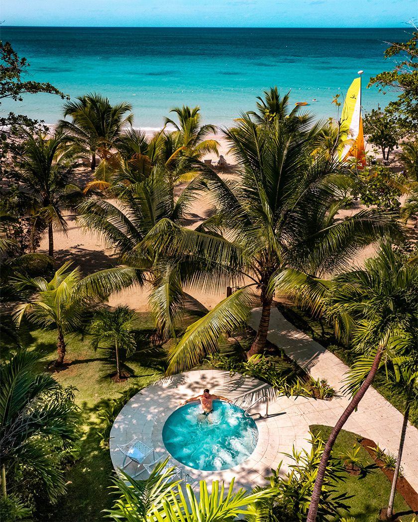 Aerial view of the palms and pool garden
